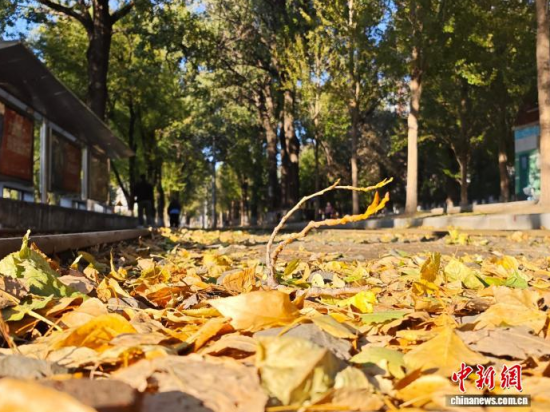 S54·܉܇ؾh(hun)߅L(fng)ò(j)S~䁝M· z