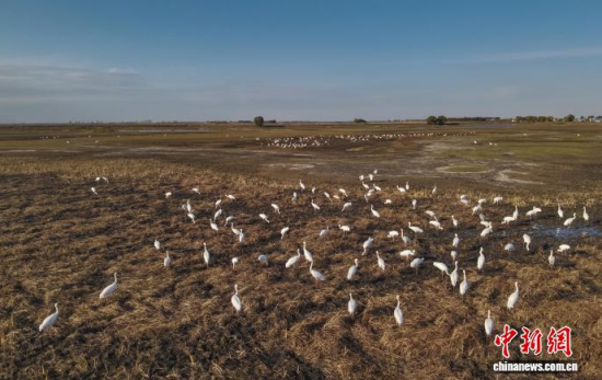 1016ڼĪĪ(gu)Ҽ(j)Ȼo(h)^(q)(ni)QϢ(o(w)˙C(j)Ƭ)w z