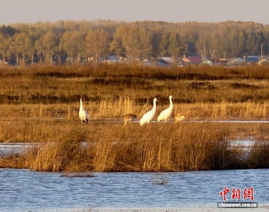 ؚwQȺġС()˰QȺwr z