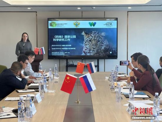 _˹ҷo(h)|(jng) z